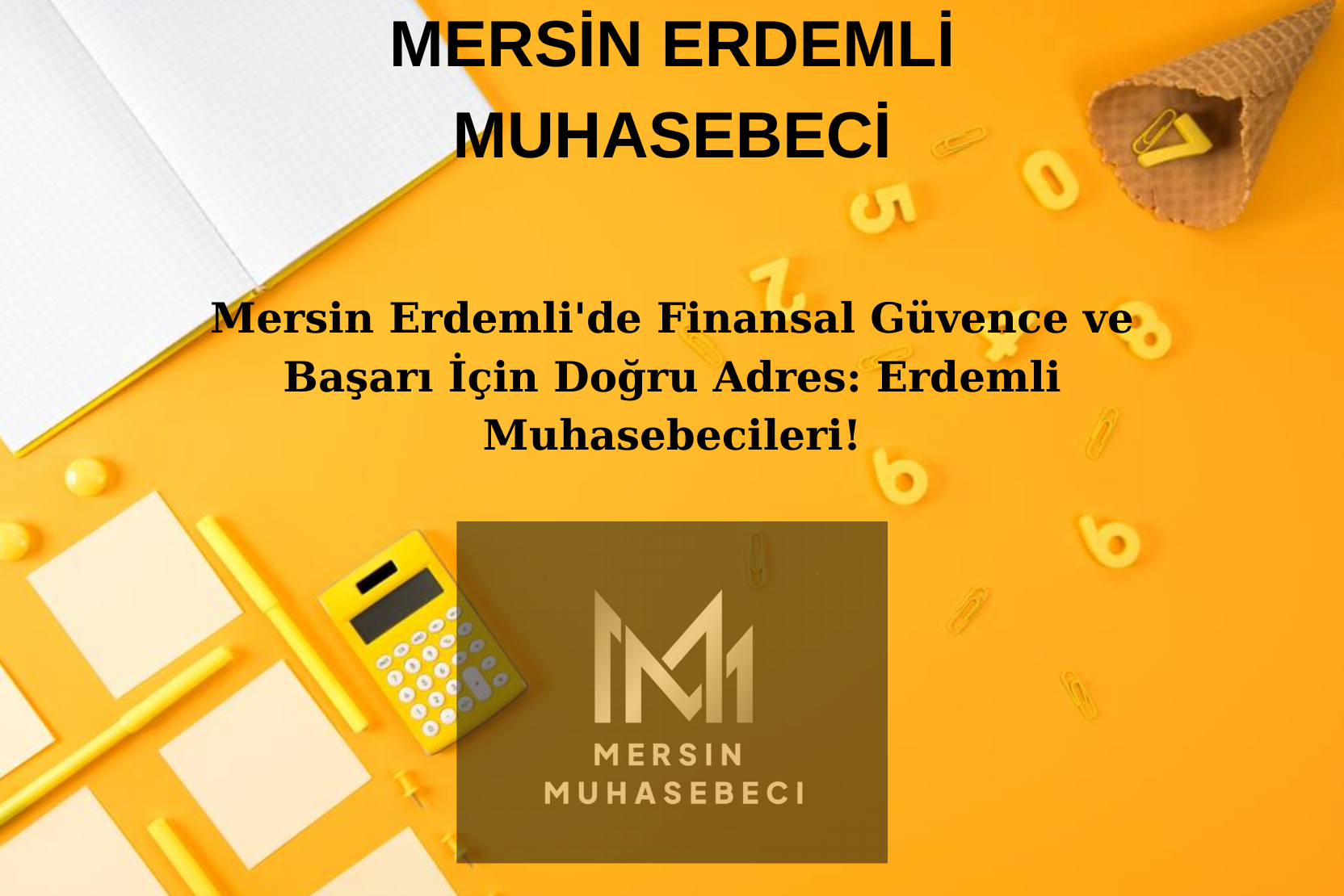 MERSİN ERDEMLİ MUHASEBECİ